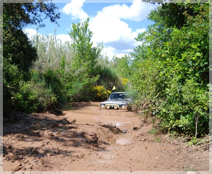 dsc_0145.jpg