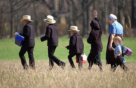 Amish une communauté marginale