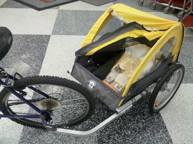 schwinn scout bike trailer