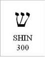 shin_310