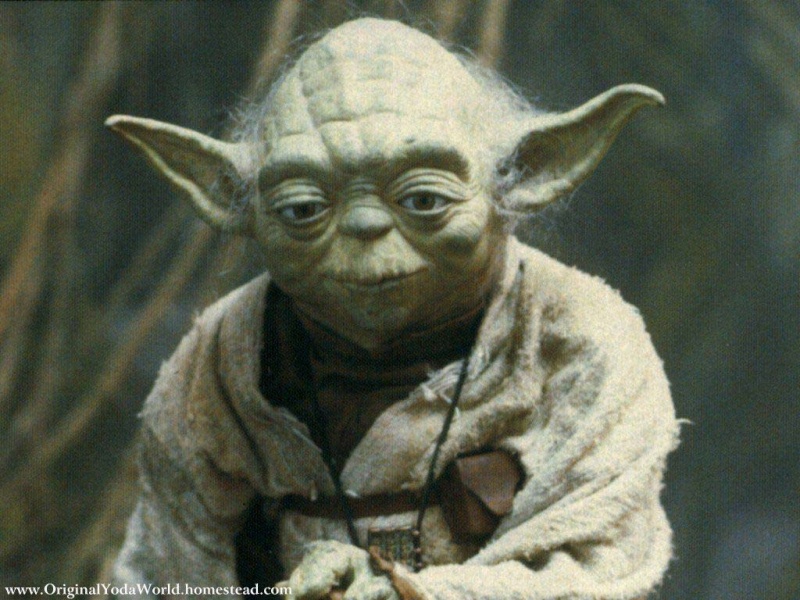 t924 maitre yoda