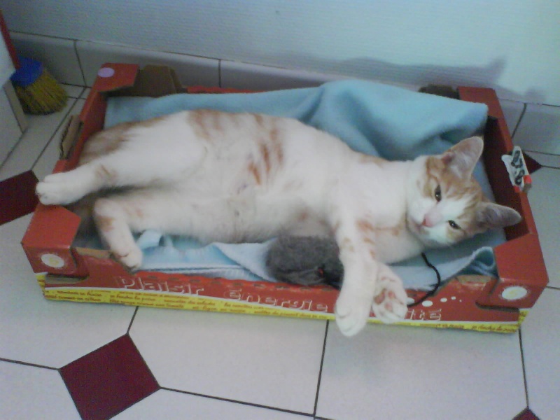dsc00111.jpg