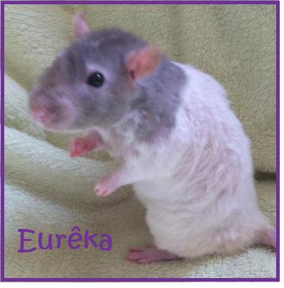 eureka12.jpg