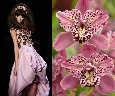orchid24.jpg