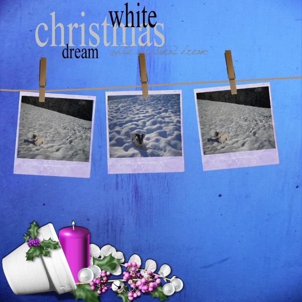 white_10.jpg